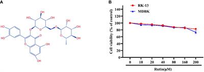 Rutin prevents EqHV-8 induced infection and oxidative stress via Nrf2/HO-1 signaling pathway